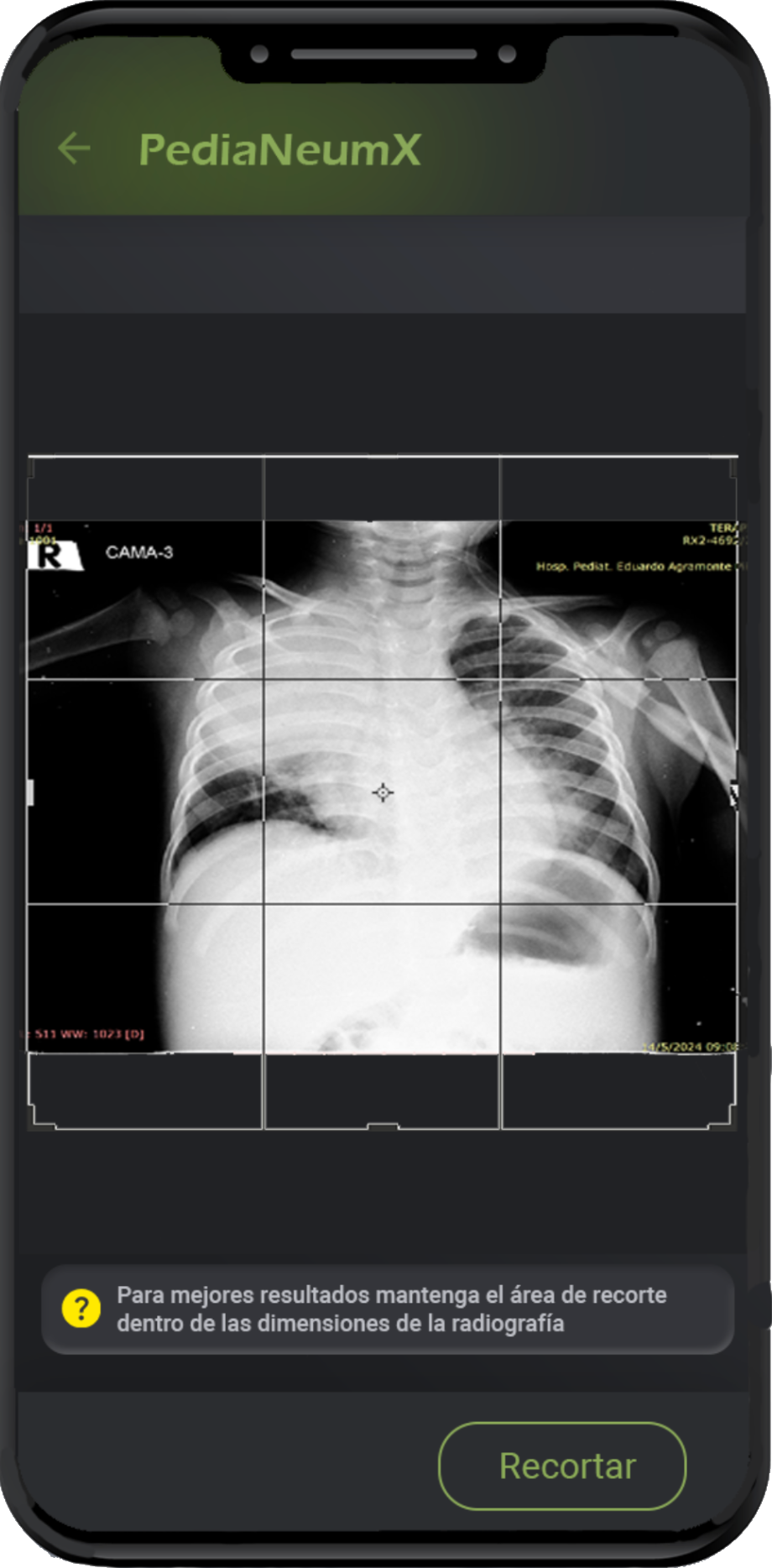 Captura de la app PediaNeumX